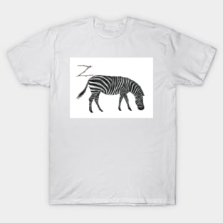 Z for zebra alphabet illustration, pencil illustration from my alphabet series T-Shirt